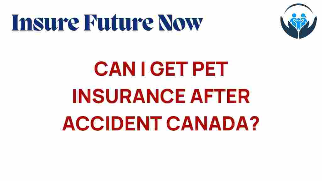 pet-insurance-after-accident-canada