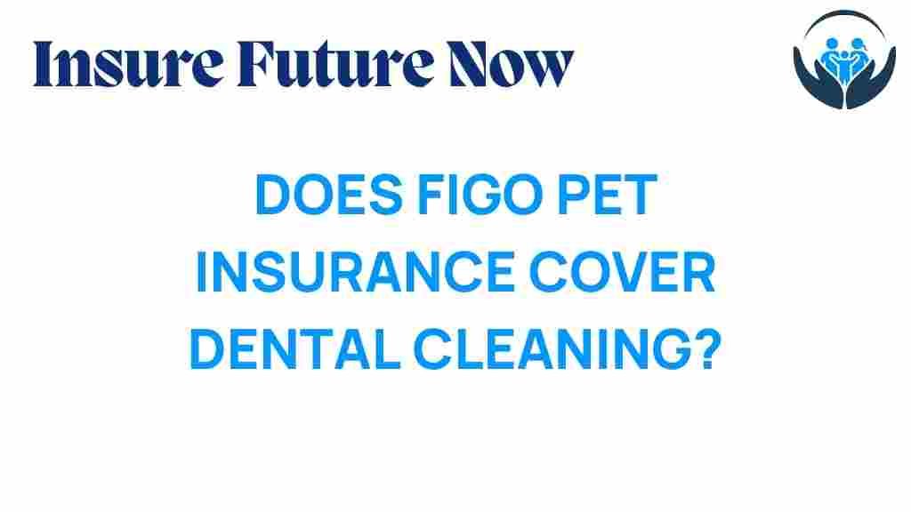 figo-pet-insurance-dental-cleaning
