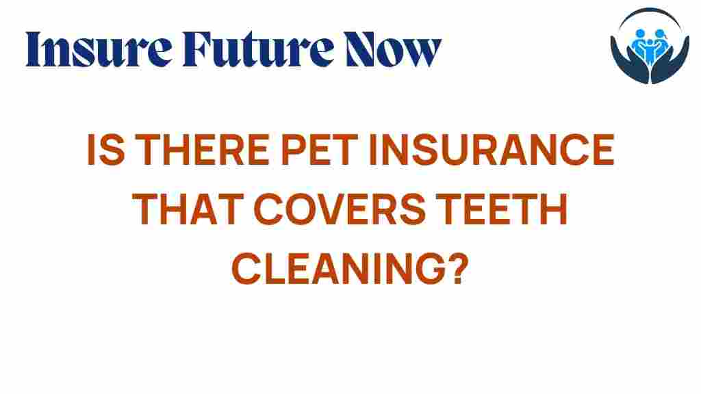 pet-insurance-teeth-cleaning