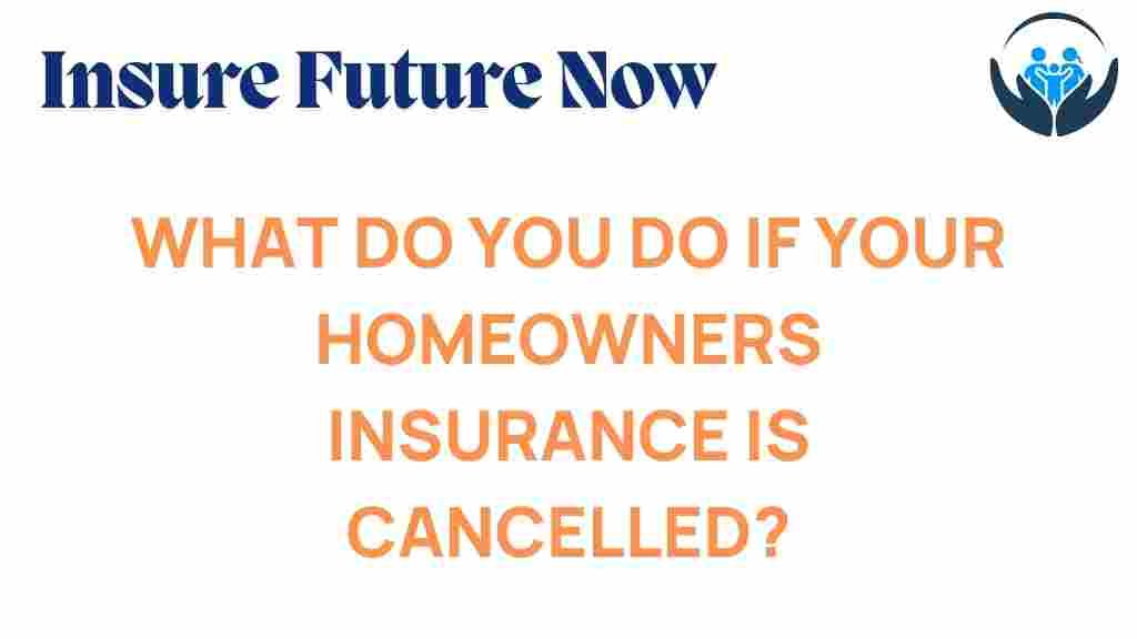 homeowners-insurance-cancellation-guide