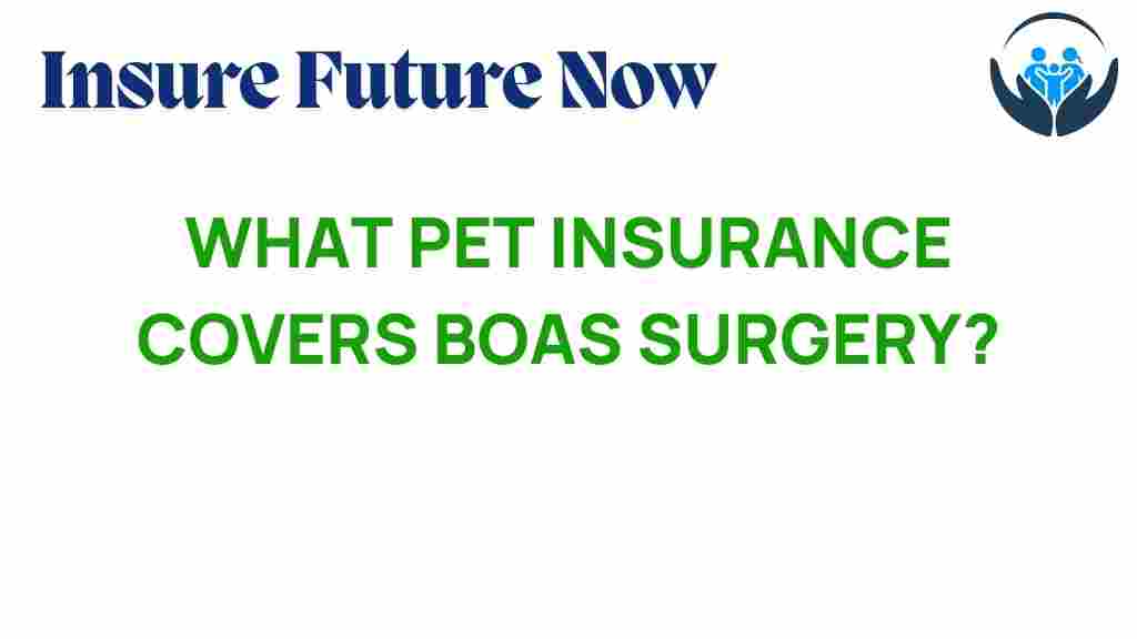 pet-insurance-boas-surgery-coverage