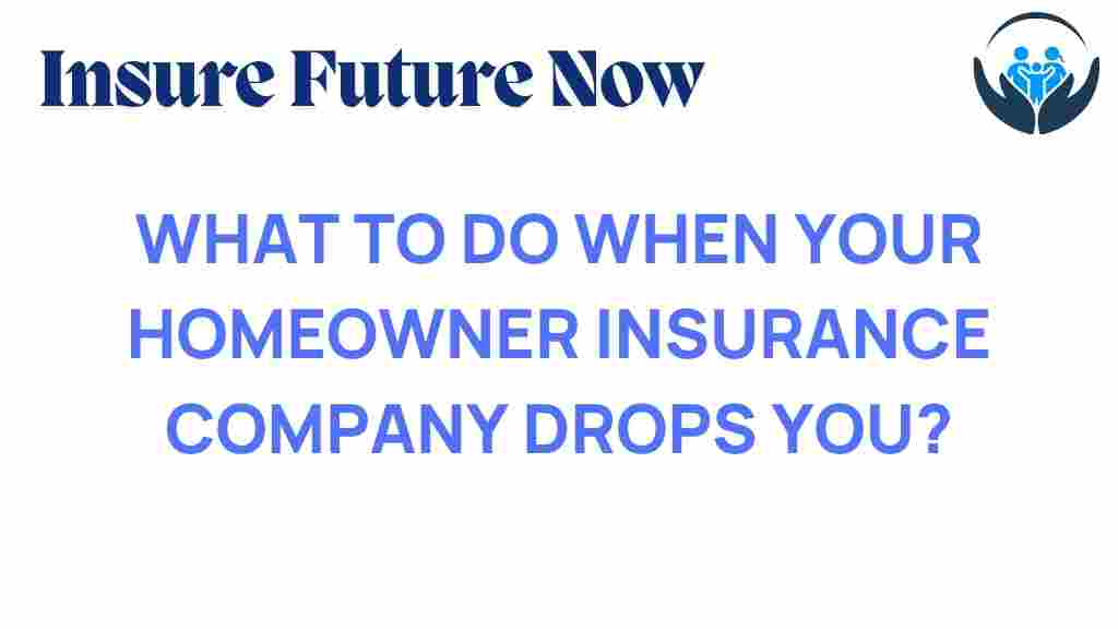 homeowner-insurance-dropped-options