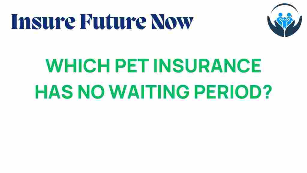pet-insurance-no-waiting-period